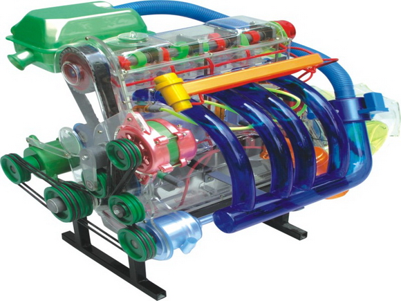 SG-TM19 ɣ���{������͸���̌Wģ��